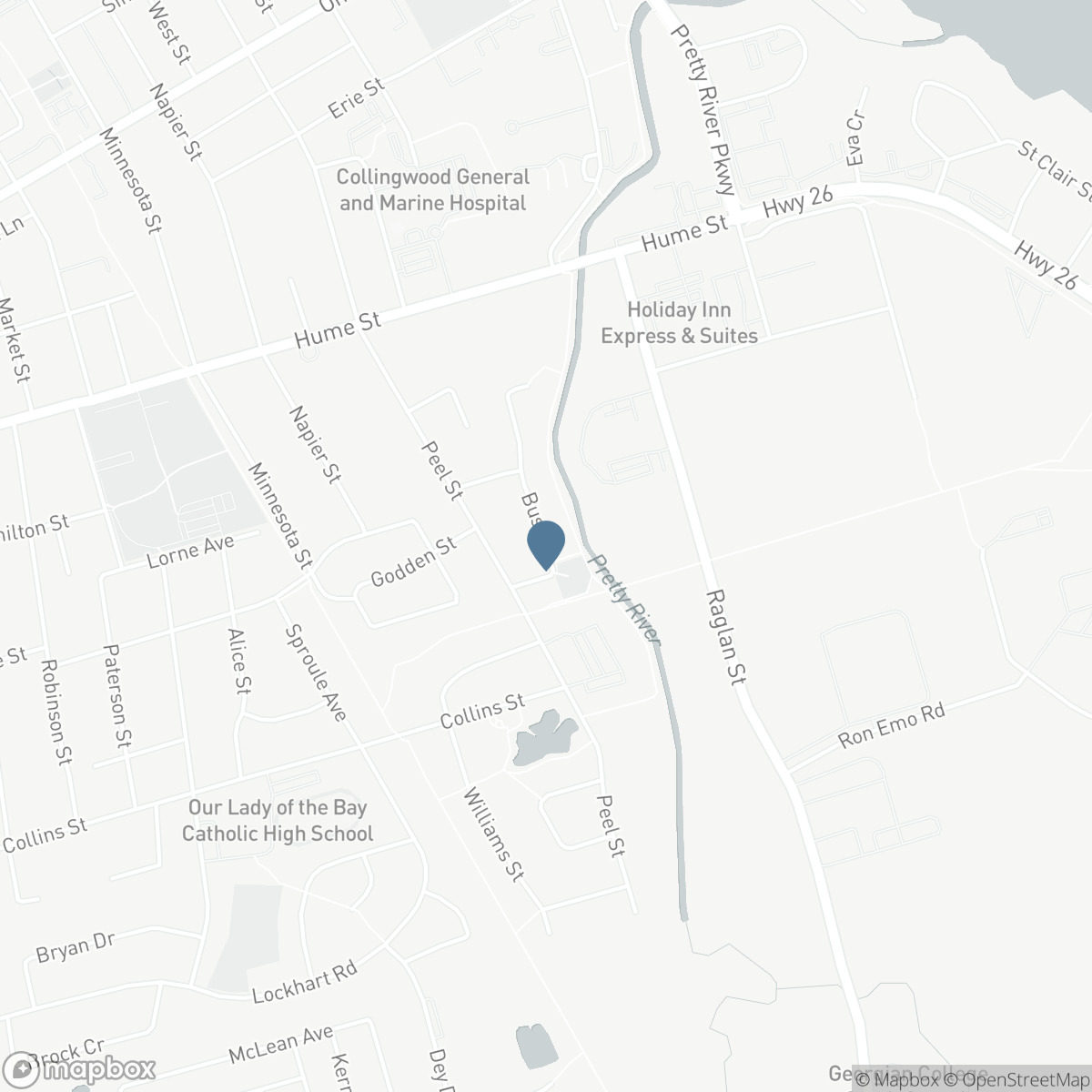 31 BUSH STREET, Collingwood, Ontario L9Y 4T1